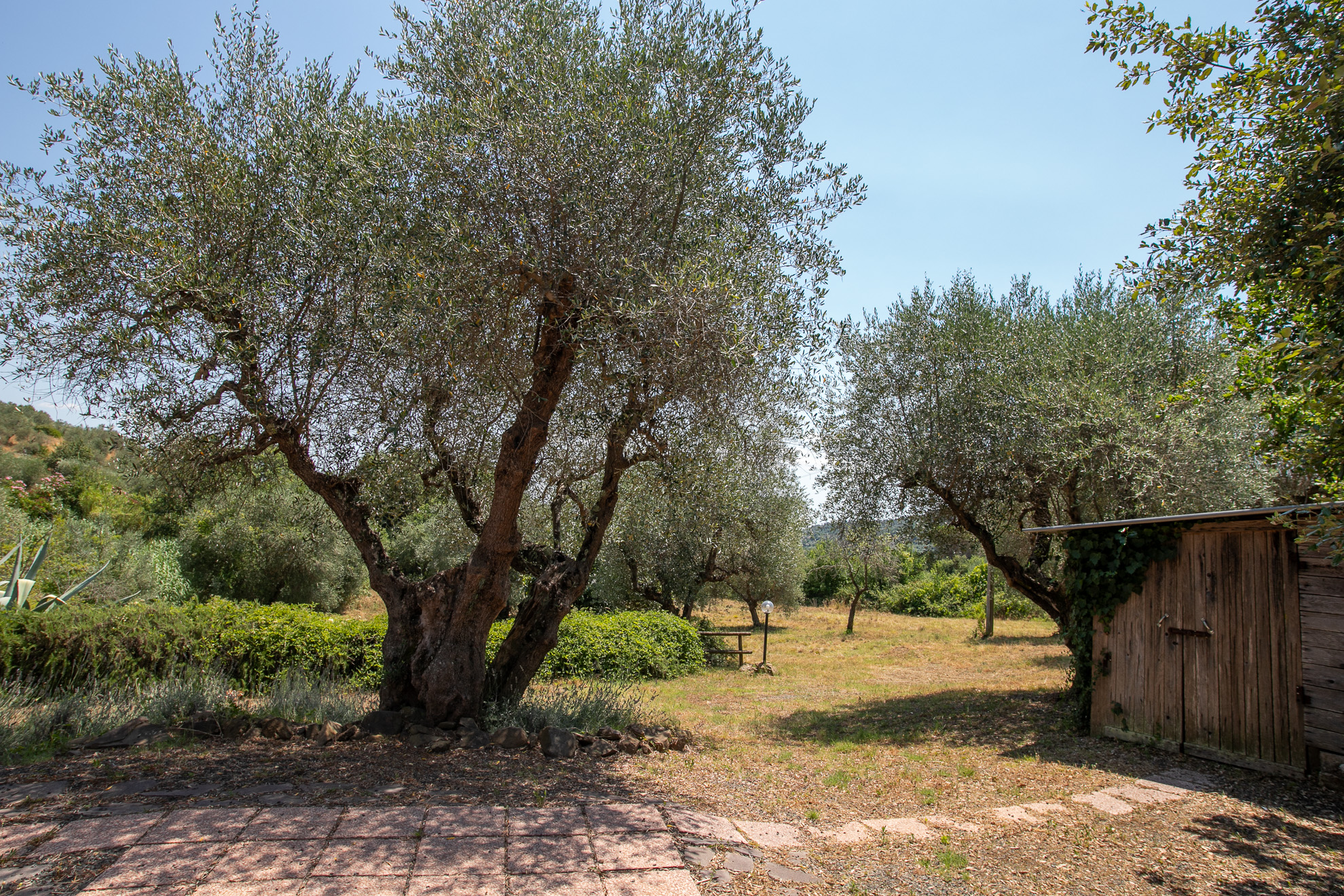 Immobile a Castiglione della Pescaia – foto 22