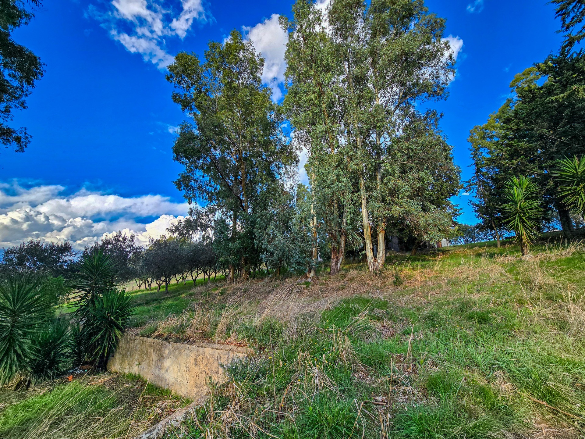 Toscana - Maremma, Gavorrano – foto 24