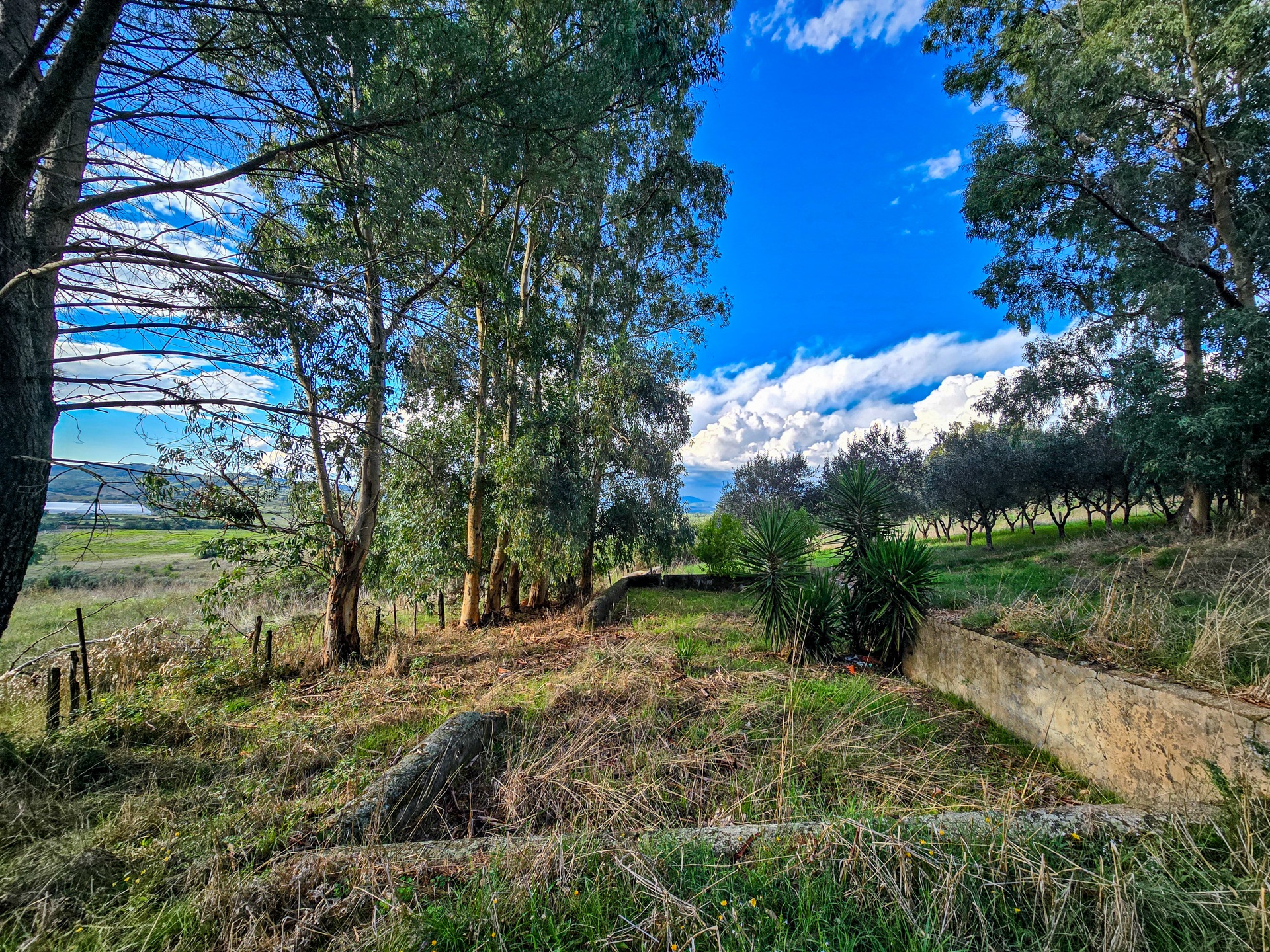 Toscana - Maremma, Gavorrano – foto 25